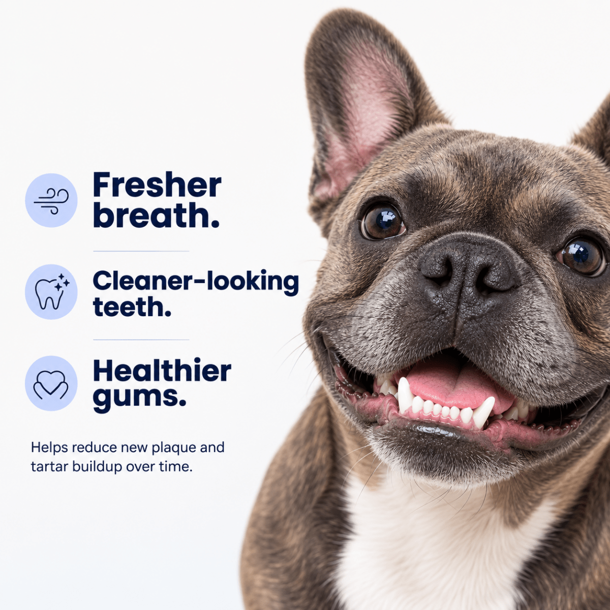 Smilers OralBiotic™ Dental Soft Chews - Smilers