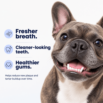 Smilers OralBiotic™ Dental Soft Chews - Smilers