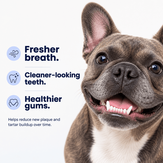 Smilers OralBiotic™ Dental Soft Chews - Smilers