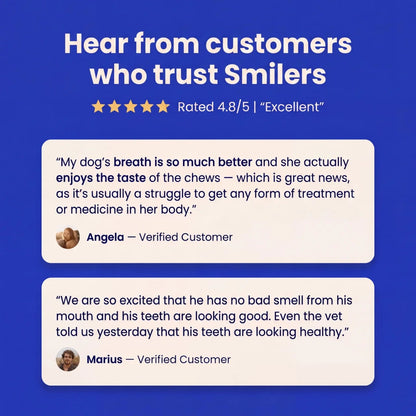 Smilers OralBiotic™ Dental Soft Chews - Smilers